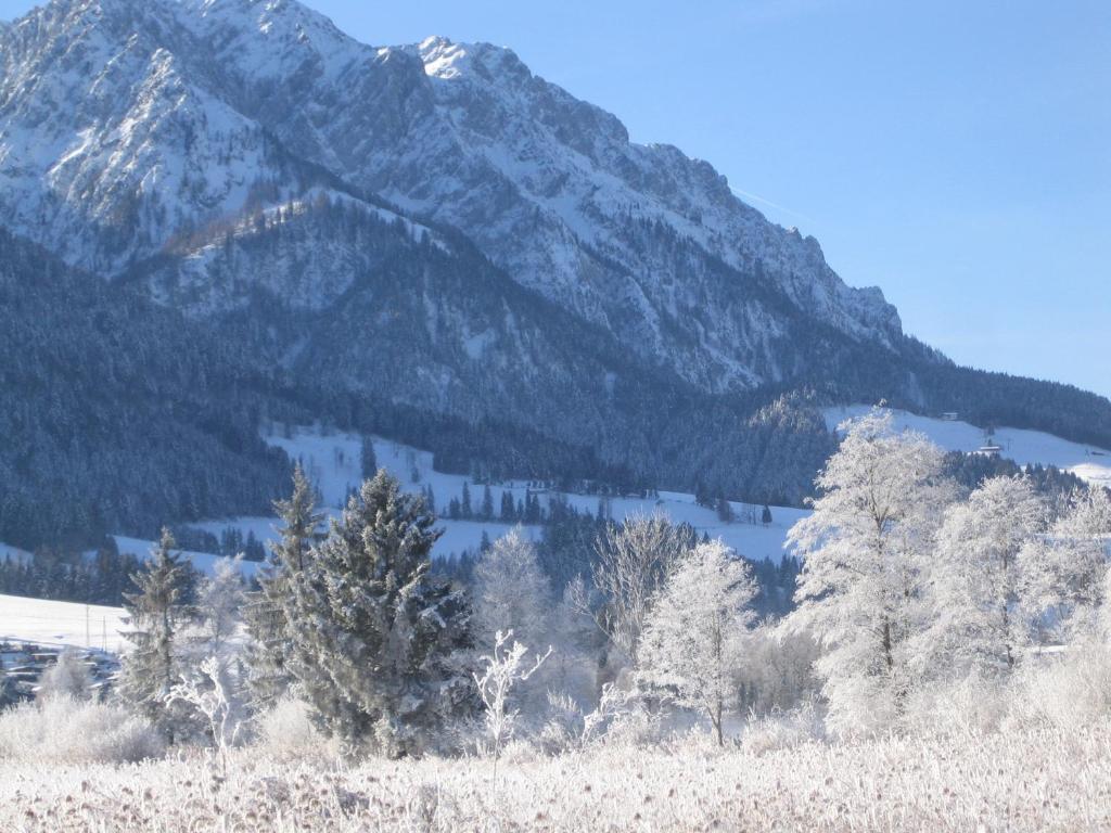 Gaestehaus Fahringer Walchsee Εξωτερικό φωτογραφία